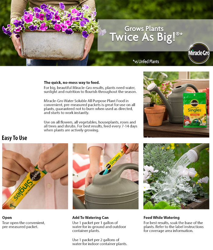 Miracle Gro Watering Can Singles Water Soluble Plant Food Packets Plants 24 Pre Measured Packets Contain Miracle Gro All Purpose Formula With 8 16 Fertilizer Ysis