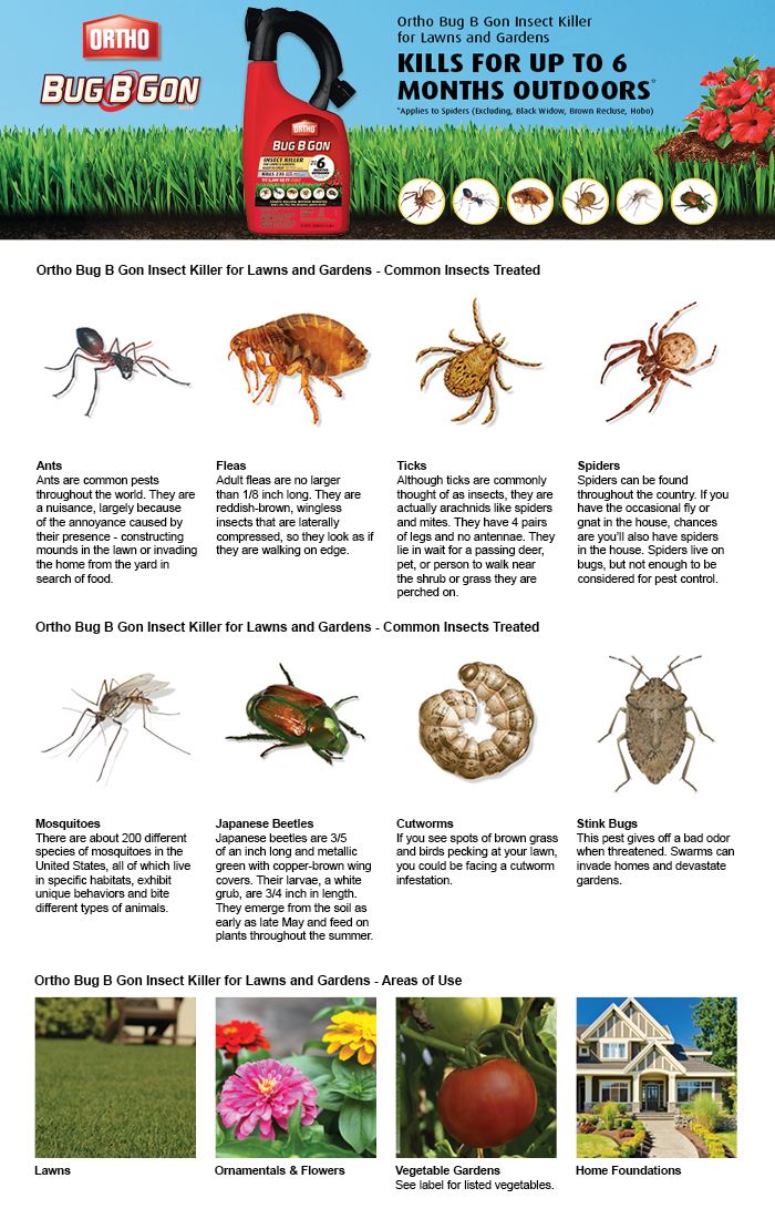 Ortho Bug B Gon Max 32 Oz Ready To Spray Insect Spray For Easy Lication Kills 235 Listed Insects Guaranteed To Kill Or Your Money Back