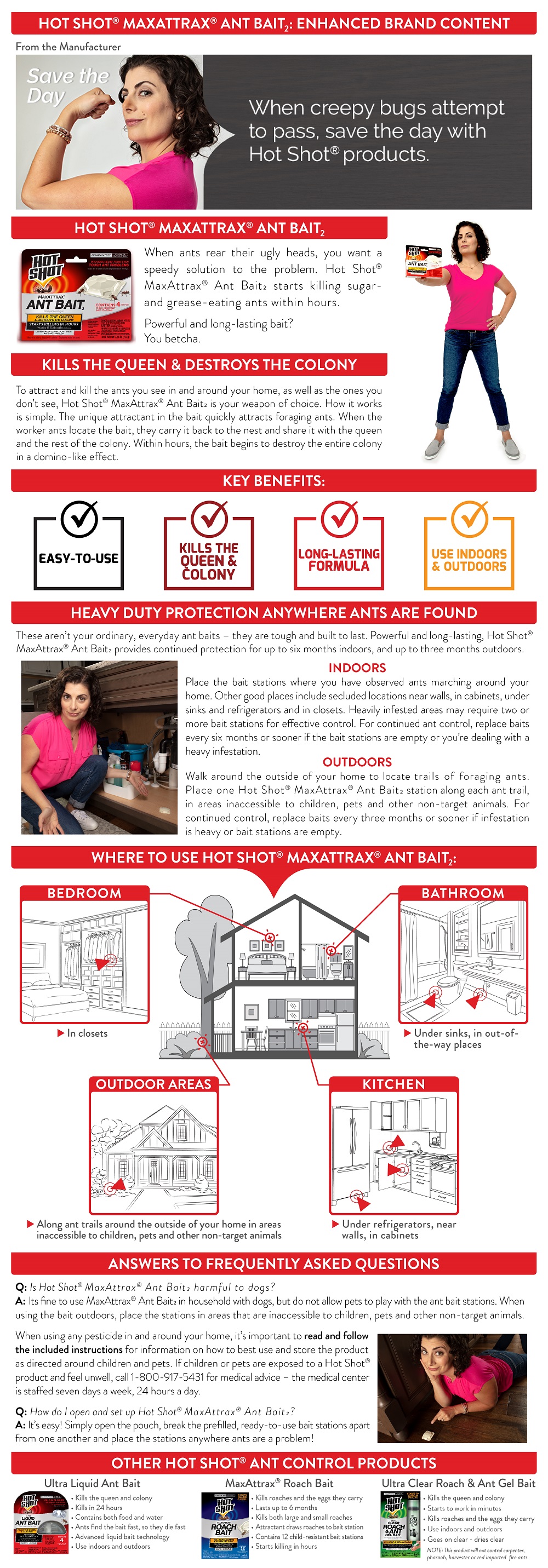 hot shot ant bait dog