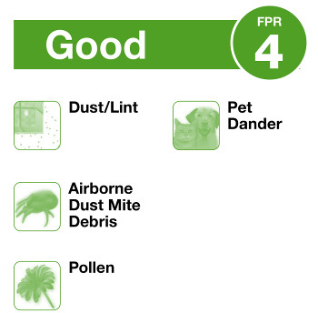 Air Filter FPR 4